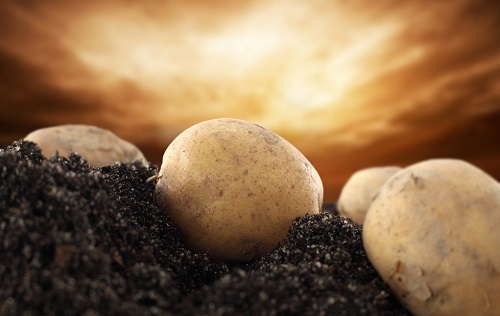 1667462872240236.png image.png