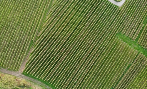 1668489770480854.png image.png