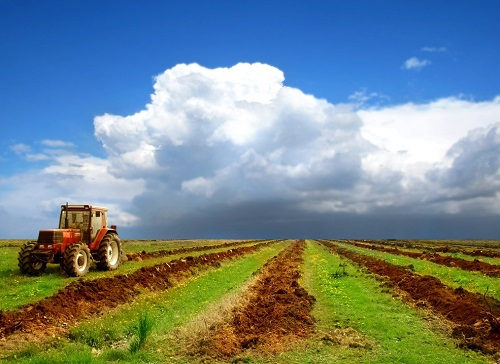 1669010942178031.png image.png