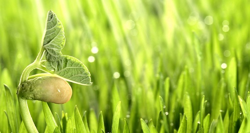 1673421322230897.png image.png