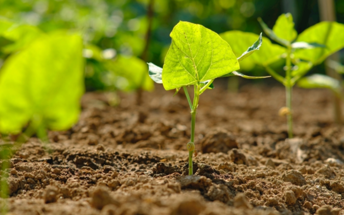 1682388960173150.png image.png