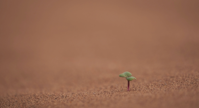 1685066801155007.png 土壤墑情監測系統