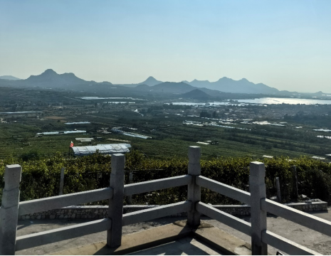 平度大澤山葡萄園引進(jìn)萊恩德土壤肥料檢測儀， 輕松掌握土壤營養(yǎng)